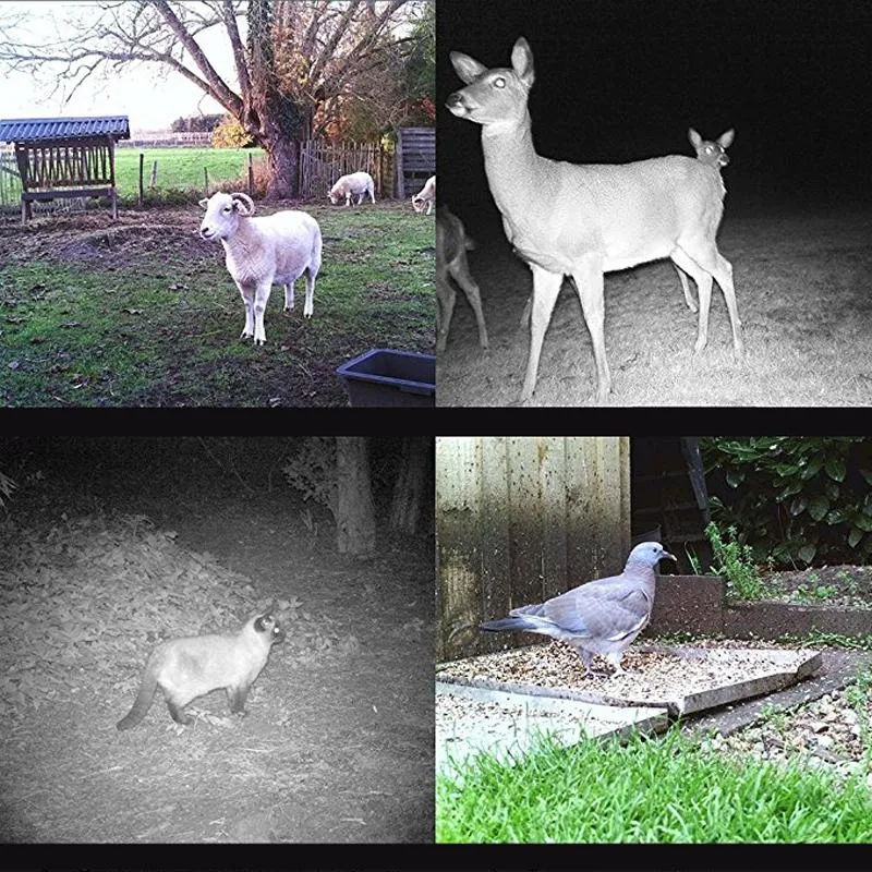 12mp Waterproof Trail Camera with Night Vision and Mms Function
