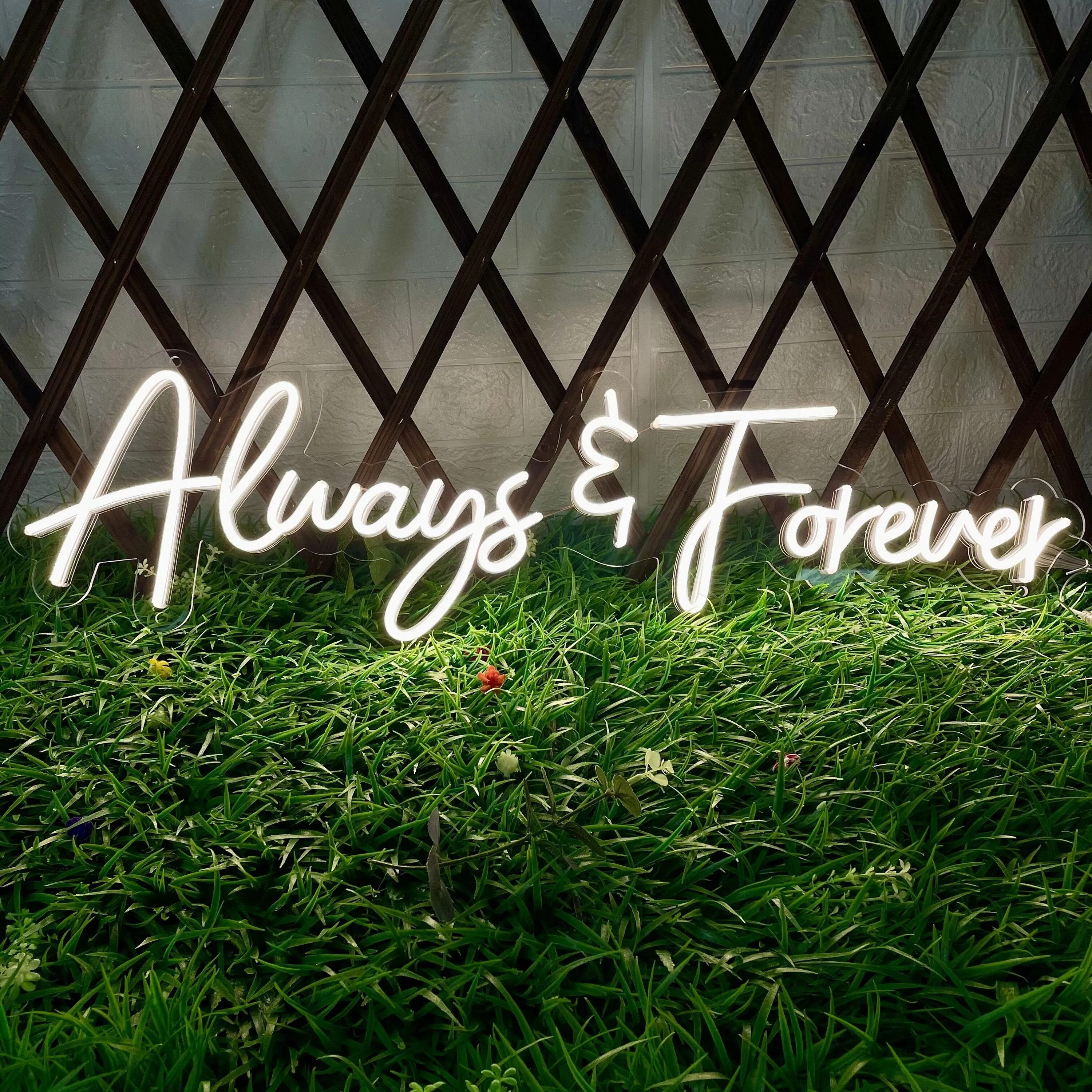 Insegna led neon Always Forever Neon Sign