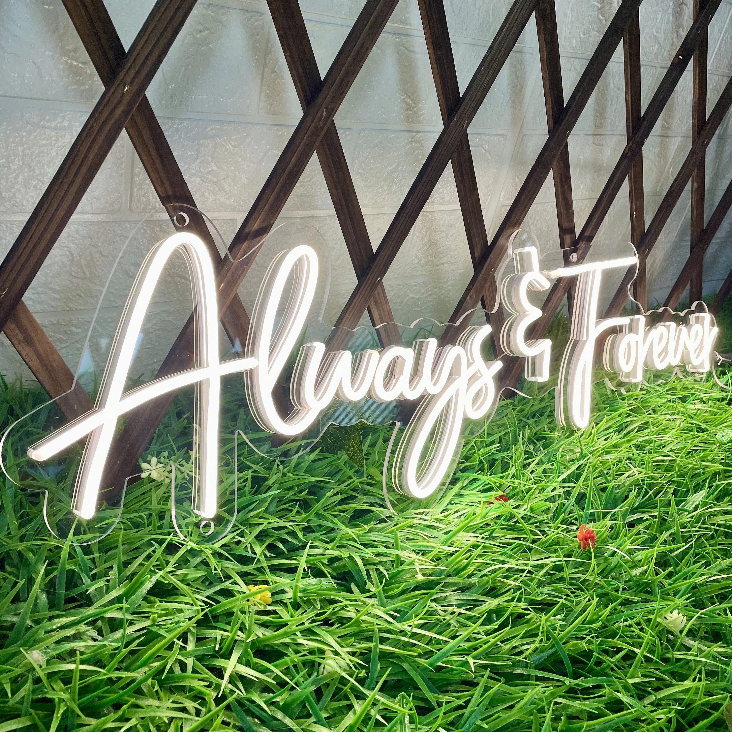 Insegna led neon Always Forever Neon Sign