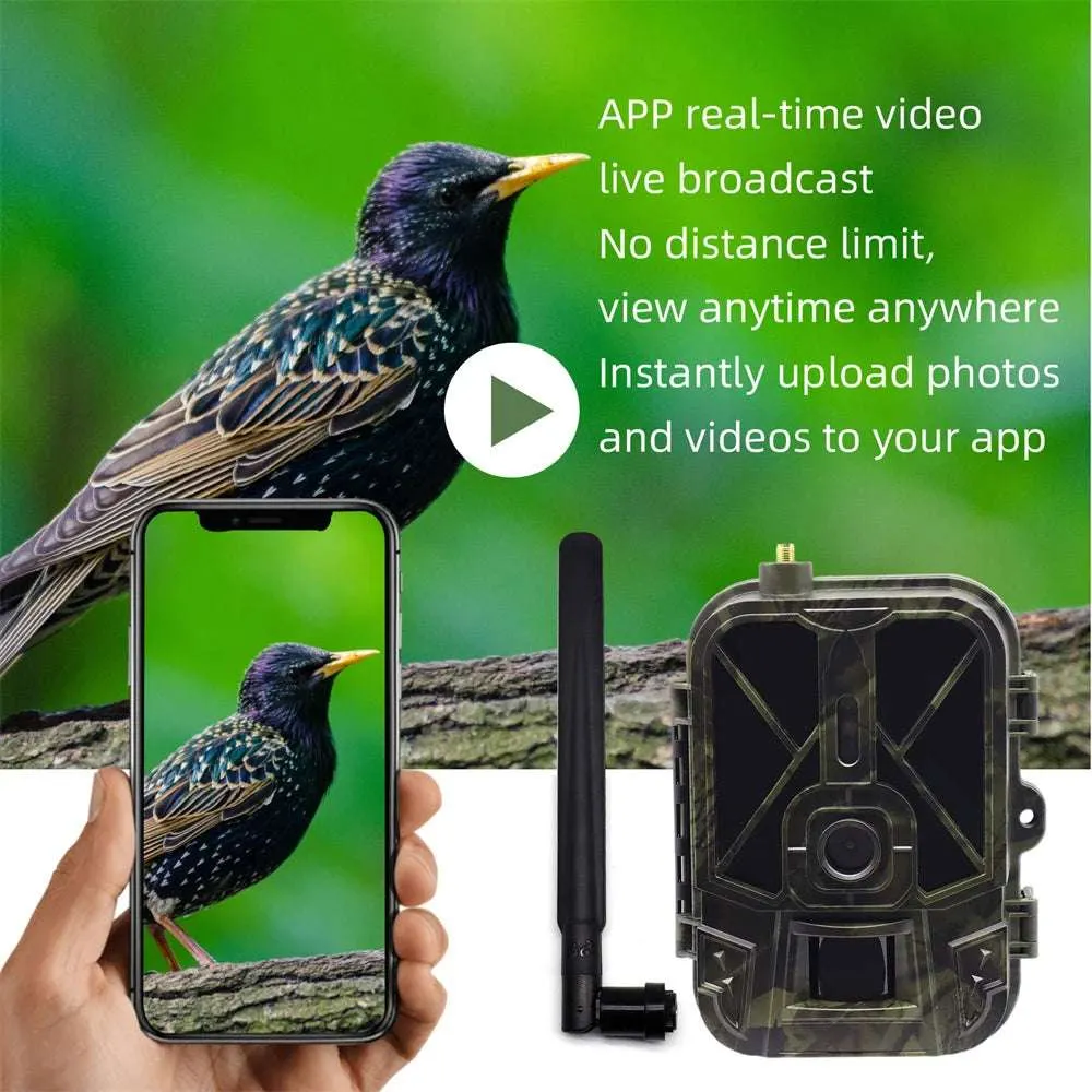 Suntekcam 4G HD Live Video Trail Camera  50MP 4K Wireless with APP Control & Cloud Service